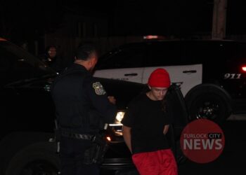 Three Teens Arrested During Traffic Stop