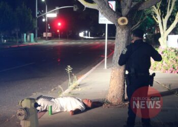 Sex Offender Arrested After Being Found Passed Out Drunk on Sidewalk