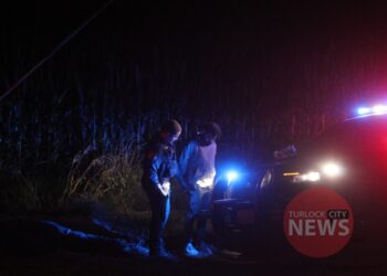 Speeding Lamborghini Driver Arrested With Gun and Money