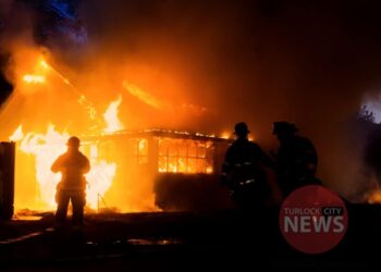 Seven Displaced and Two Cats Dead After House Fire