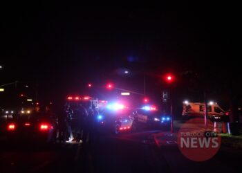 Man Damages Stolen Vehicle and Flees Police on Foot