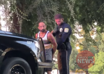 Man Arrested After Attempted Burglary to Park Building With Knife