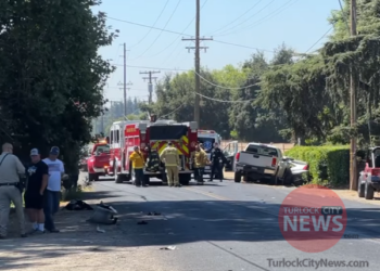 Woman Dies in Traffic Collision After Failing to Yield