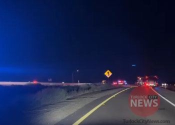 Man Dies After Being Run Over Several Times on Freeway