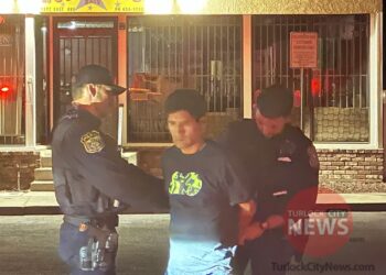 Drunk Driver Arrested After Nodding Off at Stop Sign