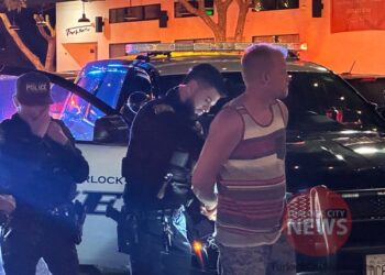 Repeat Drunk Driver Arrested After Crashing Into Pole