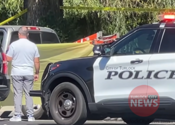 Man Found Deceased in Vehicle Near Donnelly Park