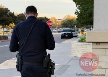 Shoplifter Arrested After Officers On-View Theft