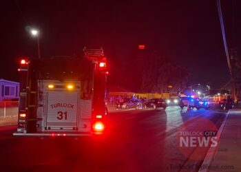 Woman Dies After Being Struck by Vehicle