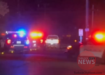 Man Apprehended by Sheriff’s Canine After Pursuit to Manteca