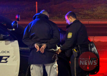 Man Arrested on Felony Warrant After Traffic Collision