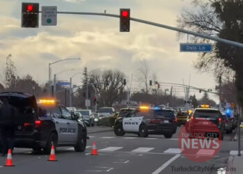 Man Arrested After Altercation With Brother Turns Deadly