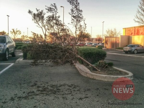 Submitted/TurlockCityNews.com|