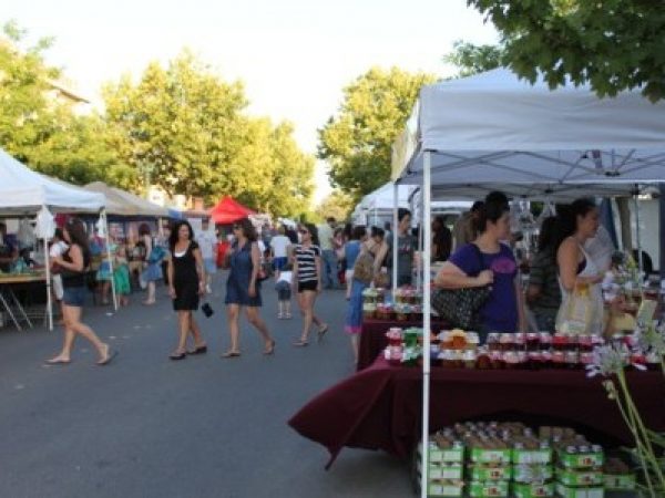 The first night market of the Turlock Farmers Market 2012 season. 06-08-12