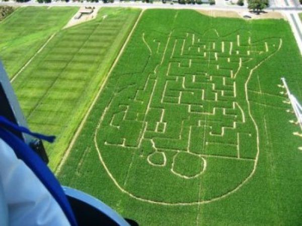 Aerial view of the corn maze at the Turlock Pumpkin Patch.