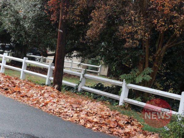 Brandon McMillan/TurlockCityNews.com
