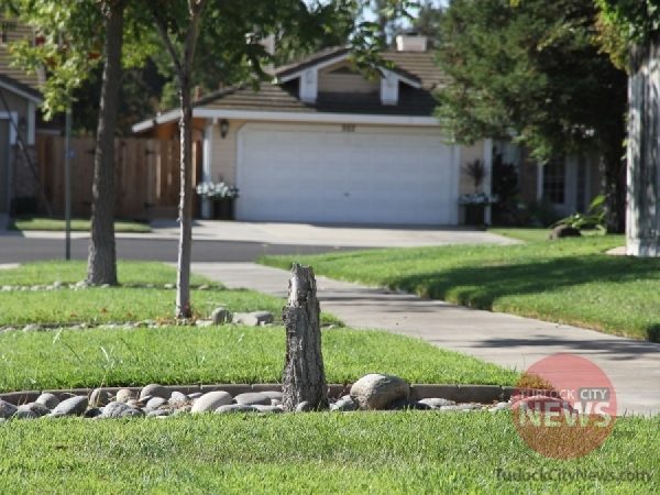 Submitted/TurlockCityNews.com