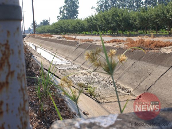 TurlockCityNews.com|
