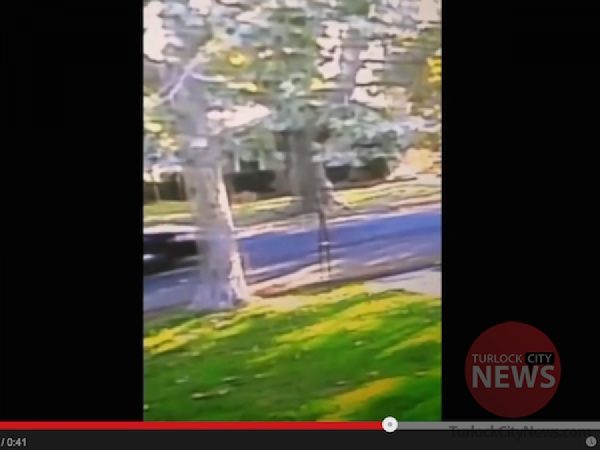 Video Submitted by Amanda Moore for Ken and Lisa Moore/TurlockCityNews.com