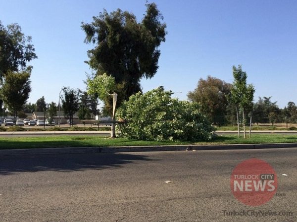 David Fransen/TurlockCityNews.com