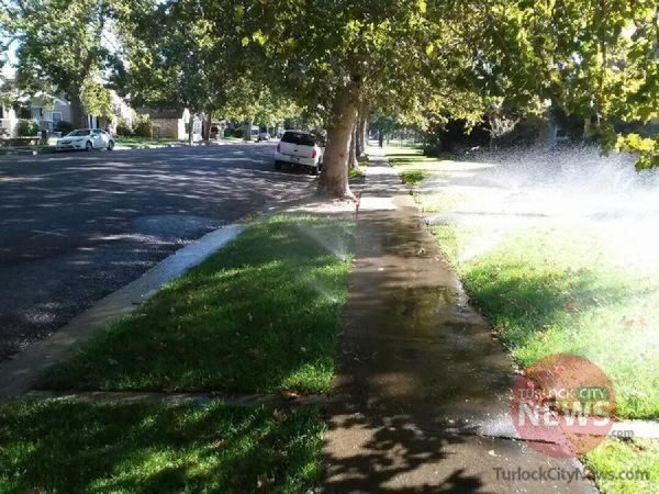 Submitted/TurlockCityNews.com